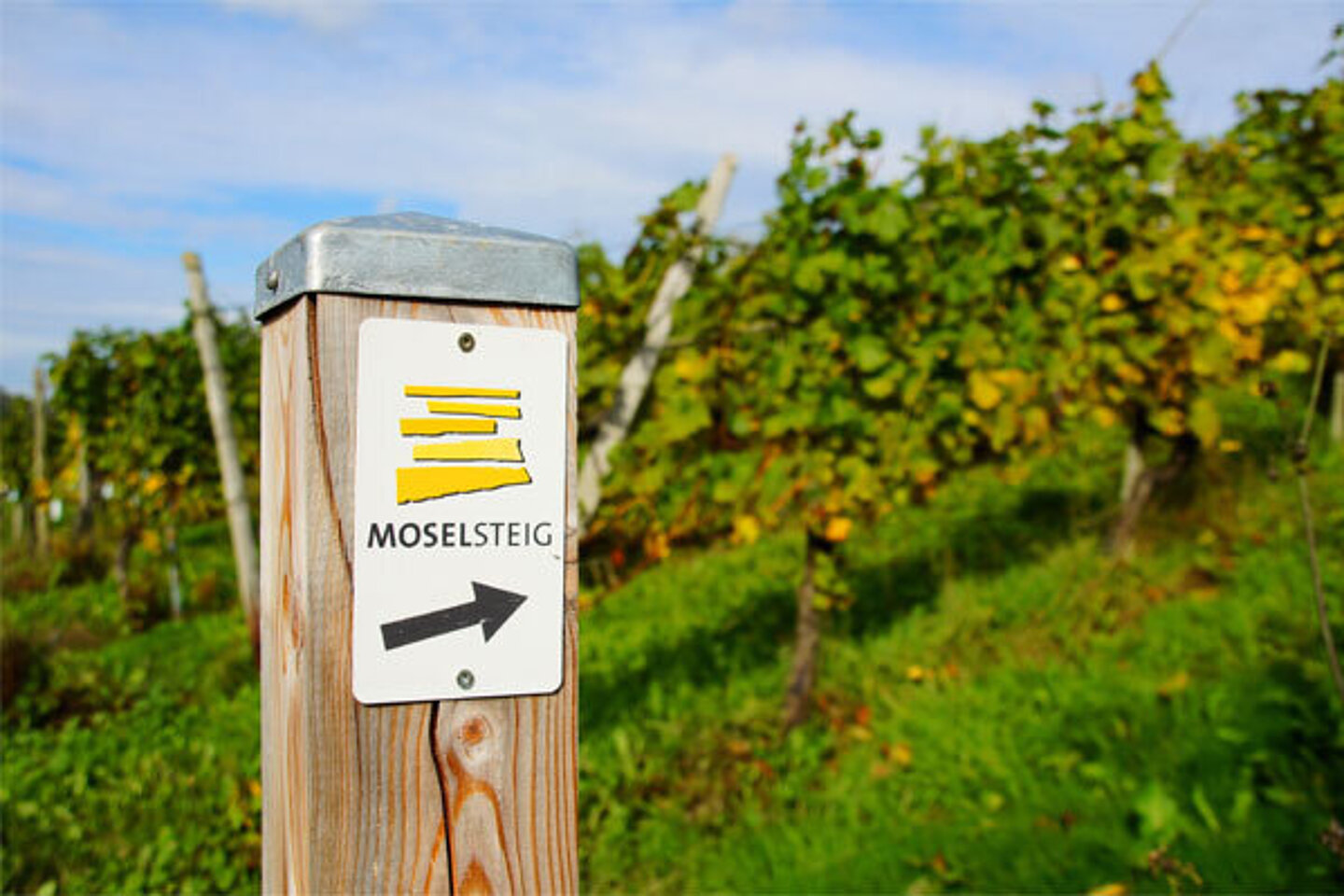 AS_119339346-moselsteig